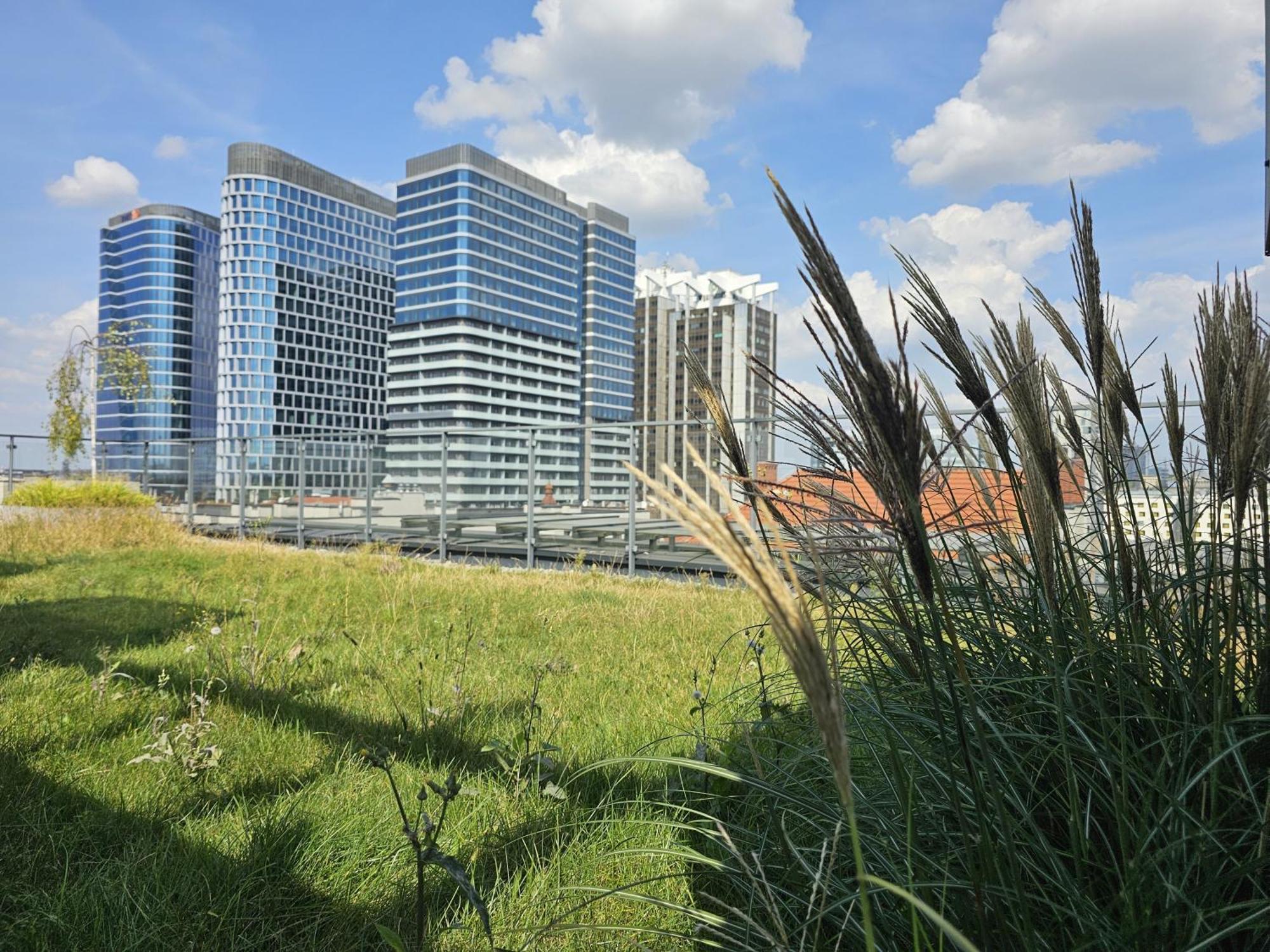 Urban Apartments Premium, Opolska 10 No 36, Free Garage, Self Check-In カトヴィツェ エクステリア 写真